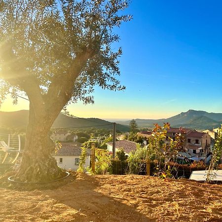 Bella Vita Calenzana Εξωτερικό φωτογραφία
